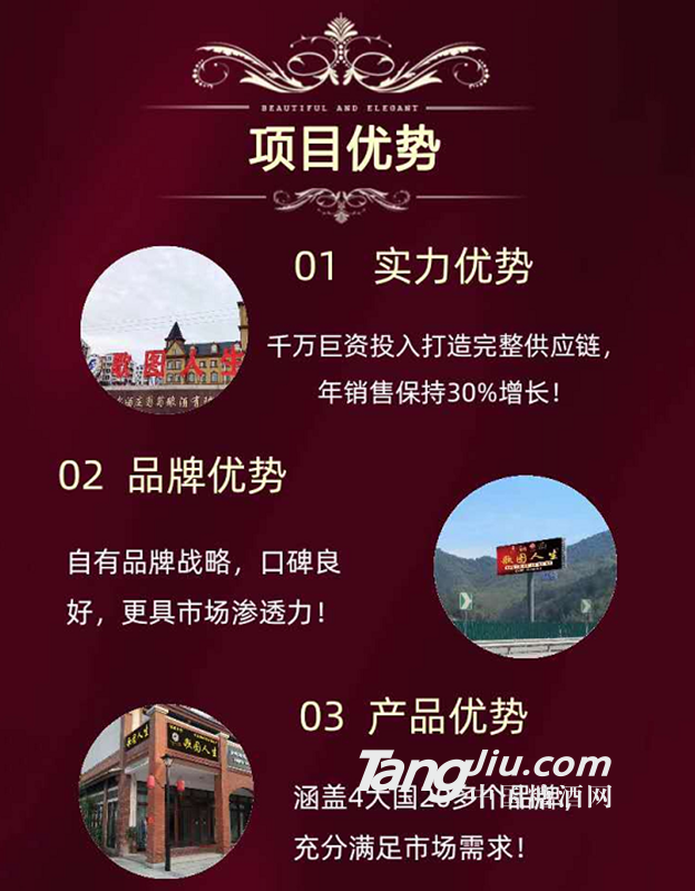 项目优势