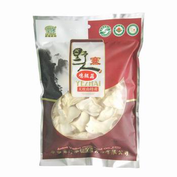 供应鸡腿菇