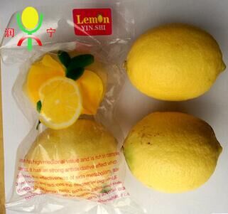 安岳新鲜双胞胎黄柠檬1箱50斤 国产营养汁多现摘种植地