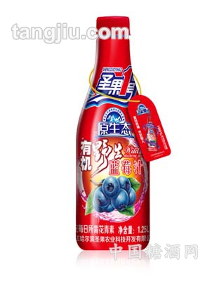 1.25L野生蓝莓汁（红）