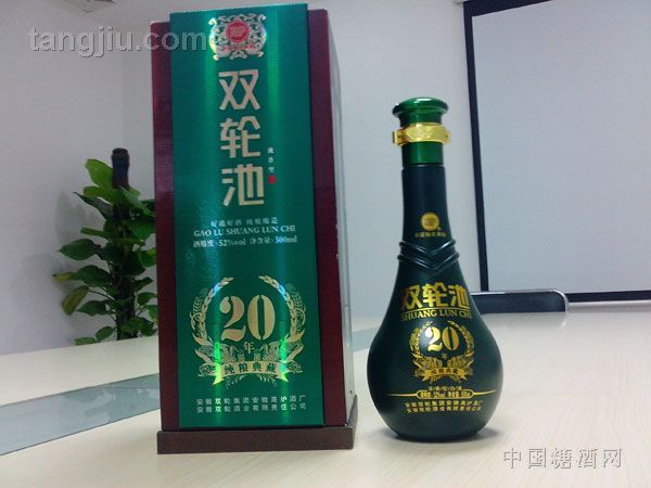 双轮池20年