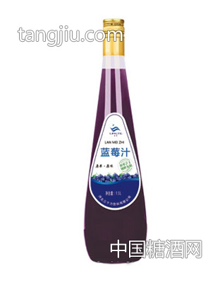 凌特蓝莓汁828ml