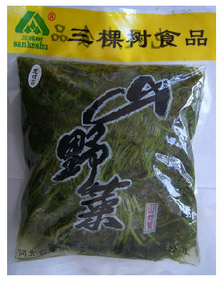 龙须菜