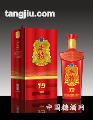 丰特T9