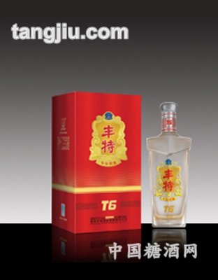 丰特T6