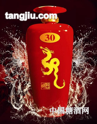 江口醇酒原浆蛟龙53度2500ml