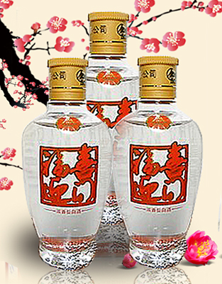 五粮液100ML 二两 小酒