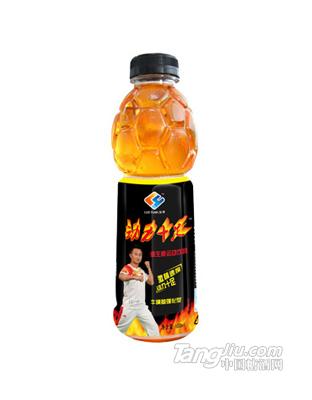 动力十足500ml