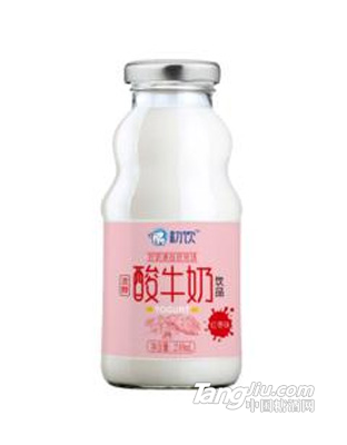 初饮 红枣味发酵酸牛奶 乳饮品248mL