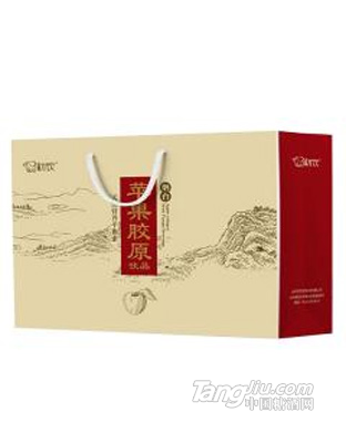 初饮 苹果胶原 果汁饮品礼盒装