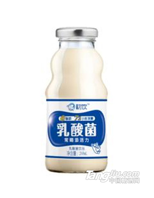 初饮 乳酸菌乳饮品248mL
