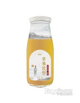 初饮 苹果胶原果汁饮品 255mL