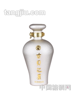 福润德酒类包装-酒瓶38