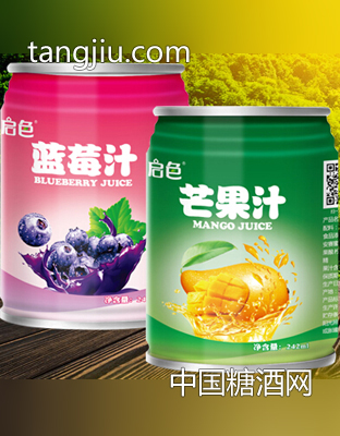 启色果汁饮料242ml