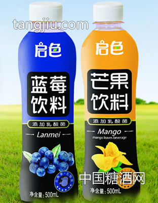 启色果汁饮料500ml