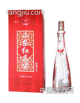 红高粱酒红运久久