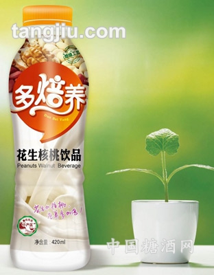 核桃花生饮品420ml