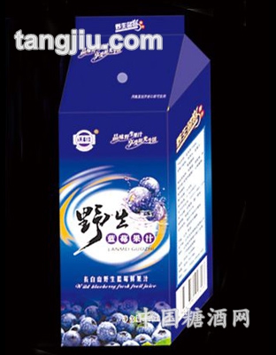 沃佳500ml蓝莓汁