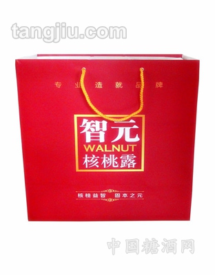智元苗条砖双提手提袋