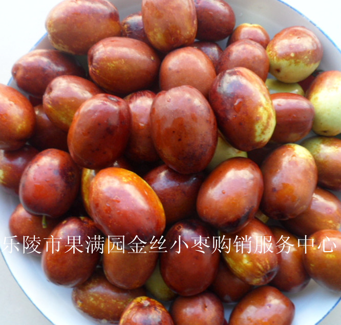 山东鲜红枣