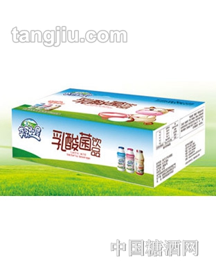 草原小屋乳酸菌饮品40瓶