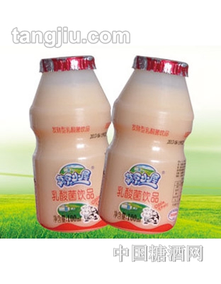 100mlx2瓶草原小屋乳酸菌饮品