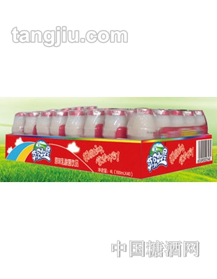 草原小屋乳酸菌饮品100mlX40瓶