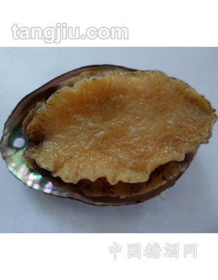 鲍鱼