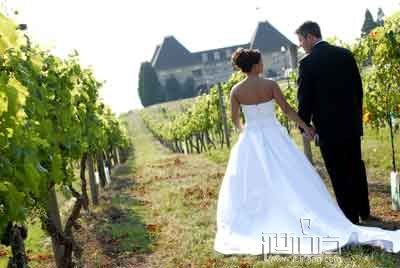 亨米勒古堡  Chateau Haut Meynard  2005 名庄红酒 、