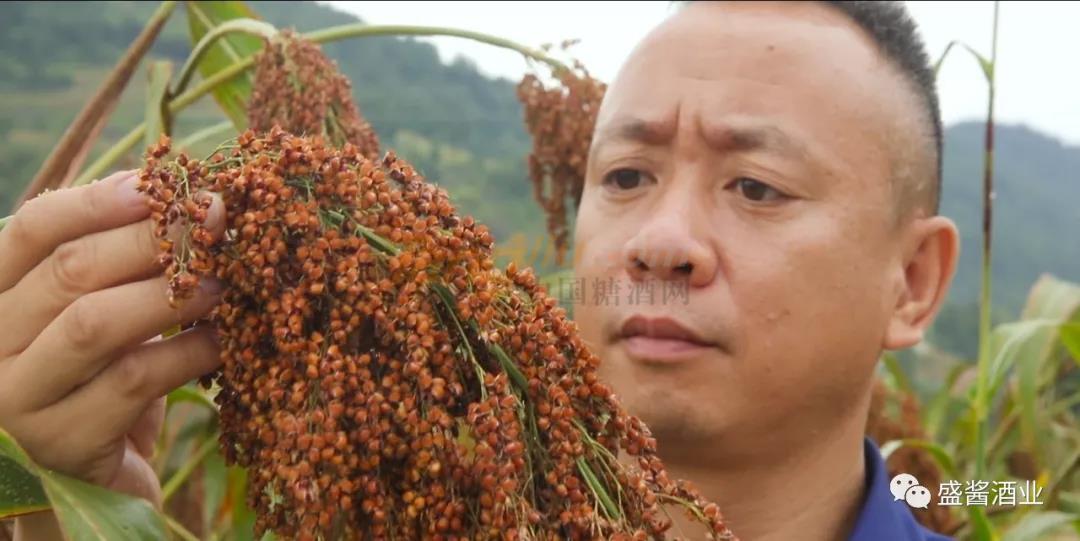 贵州省仁怀市茅台镇盛酱酒业有限公司 (2).jpg