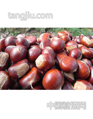 鲜板栗
