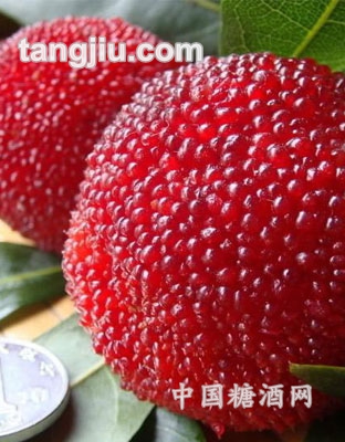 仙居东魁杨梅