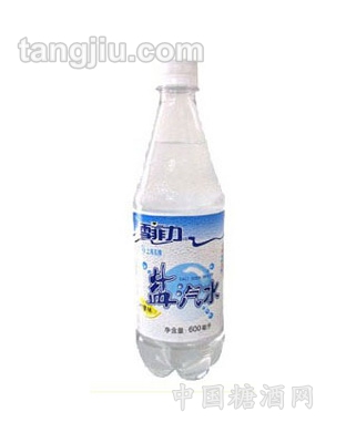 盐汽水水主剂600ml