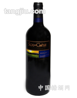 阳光智利美乐干红葡萄酒