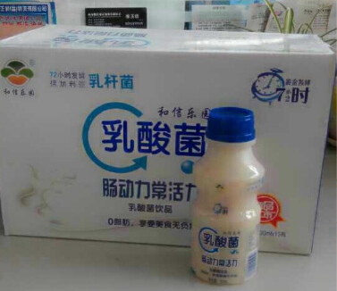 乳酸菌饮料新品
