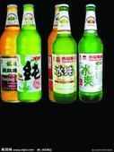 供应青岛纯生啤酒批发 青岛纯生啤酒代理商  青岛纯生
