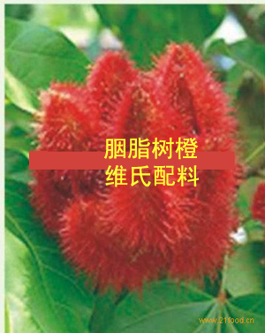 供应胭脂树橙