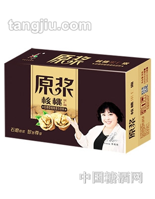 轩泰奥石磨原浆核桃乳箱装