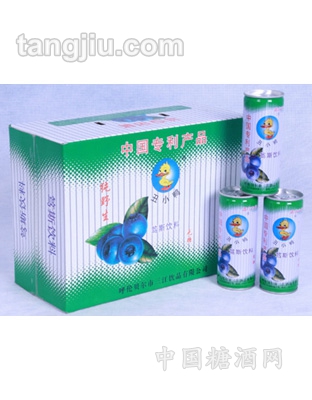 蓝莓果肉木糖醇易拉罐礼盒