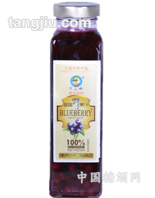 蓝莓果肉果汁饮料商务方瓶420ml
