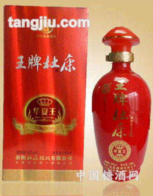 杜康华夏王