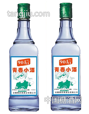 90后青春小酒双瓶