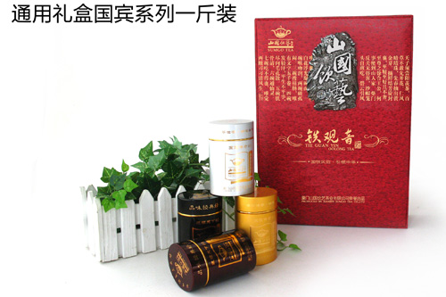 国宾通用版500G装02款