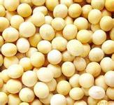 提供风筝牌优质大豆散装