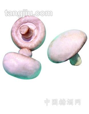脱水蘑菇