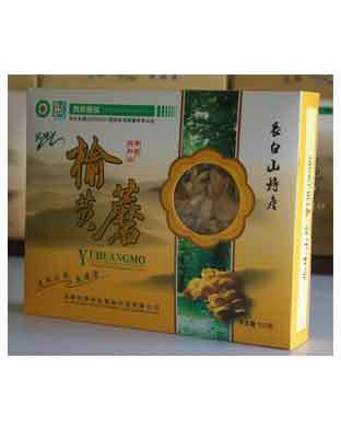榆黄蘑