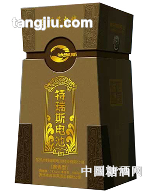 企业定制(6)