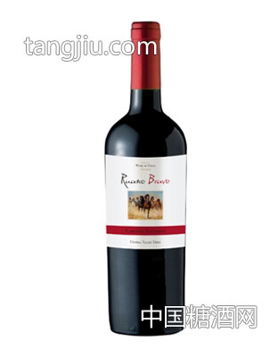 七骏精选赤霞珠干红葡萄酒