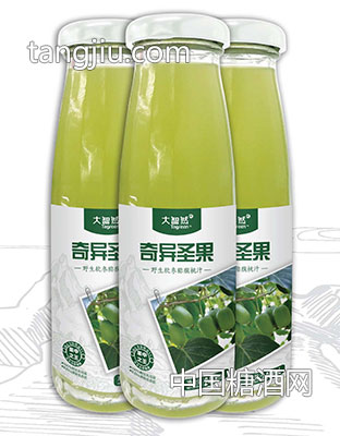 奇异圣果-大智然（北京）