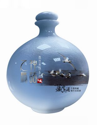 53&#176;神话之鸟